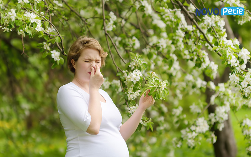 Phấn hoa là một trong những tác nhân gây viêm mũi dị ứng thường gặp